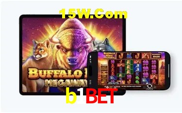 Experiência VIP b1bet